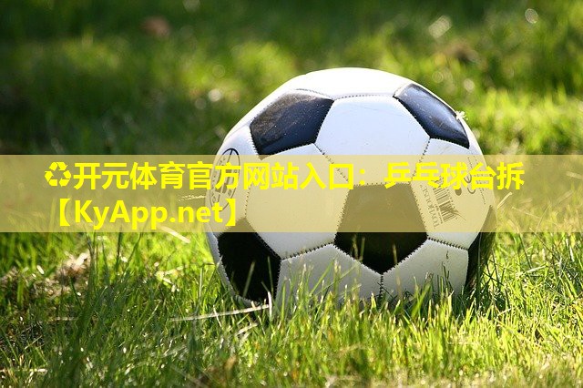 乒乓球台拆 乒乓球台拆