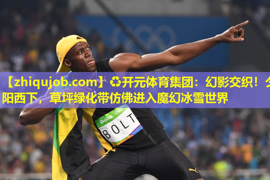 幻影交织!夕阳西下,草坪绿化带仿佛进入魔幻冰雪世界 幻影交织!夕阳西下,草坪绿化带仿佛进入魔幻冰雪世界