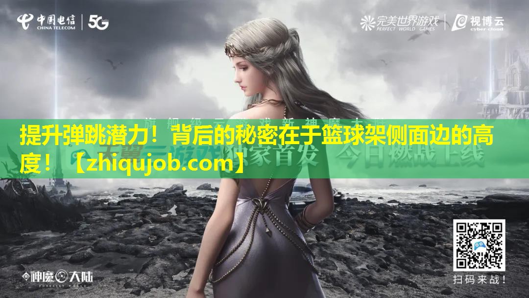 提升弹跳潜力!背后的秘密在于篮球架侧面边的高度! 提升弹跳潜力!背后的秘密在于篮球架侧面边的高度!