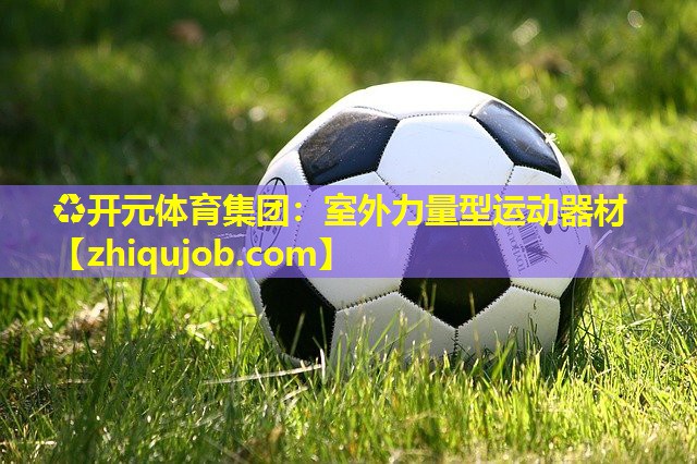 室外力量型运动器材 室外力量型运动器材