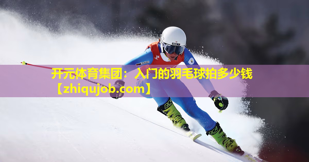 入门的羽毛球拍多少钱