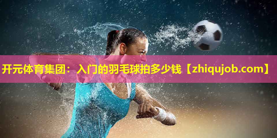 入门的羽毛球拍多少钱